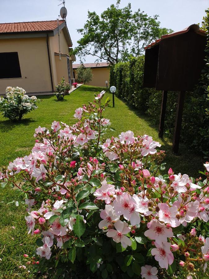 Agriturismo Severini 폰테블란다 외부 사진